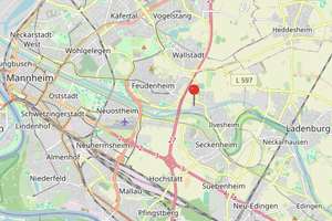 Großzügiges Familienidyll mit Charme, Garten und Entwicklungspotential – Die vollständige Adresse der Immobilie erhältst du vom Anbieter., 68549 Ilvesheim – Vorschaubild 29