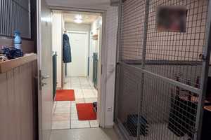 Gepflegte Doppelhaushälfte in Bad Kreuznach Planig – Bad Kreuznach (Kreis) – Vorschaubild 21