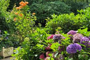 Property thumbnail 2