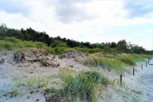 Großes Ostsee-Ferienhaus im idyllischen Barendorf (ohne Makler) – Strandkoppel 25b, 23942 Dassow – Vorschaubild 10