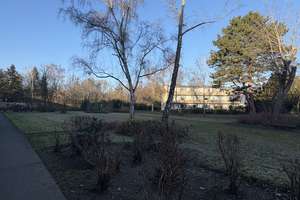 Property thumbnail 18