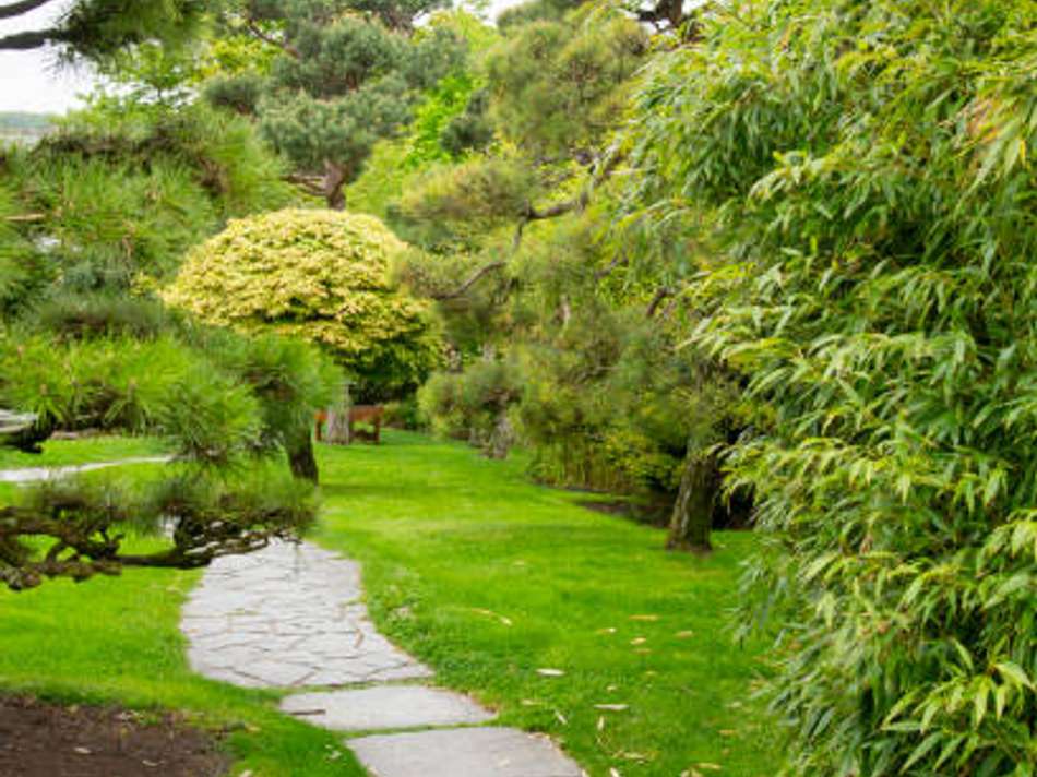 Genuss pur im eigenen Garten 2