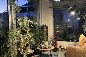 Familienfreundliches EFH mit wohnwirtschaftlich ausgebauter ELW und Wintergarten fußläufig zum Rhein – Neuwied (Kreis) – Vorschaubild 15