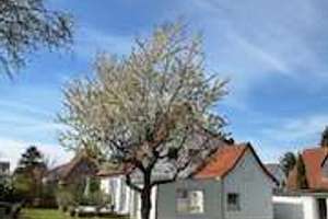 Freistehendes EFH 134m² Wfl.,967 m² Grund, 6 Zi.,  Energetisch Top (B),  Garage,  Keller, prov.frei – Sohrenkamp 4, 30539 Mittelfeld, Hannover – Vorschaubild 3
