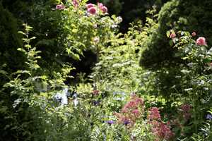 Großzügiges Wohlfühl-Haus mit wunderschönem Gartenidyll in Probstried – Oberallgäu (Kreis) – Vorschaubild 63