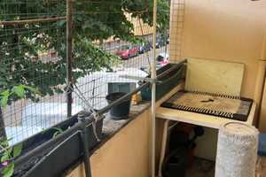 3Z Wohnung mit Balkon am Tempelhofer Feld als Kapitalanlage – Leinestraße 20, 12049 Berlin – Vorschaubild 5