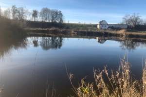 gepflegtes Landhaus mit 17,620ha Land inkl 8 Fischweiher auch ohne Fischweiher – Auf der Au 1, 88480 Achstetten – Vorschaubild 6