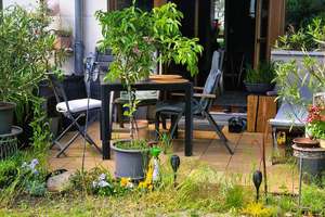 3-Zimmer-Wohnung in Berlin-Niederschönhausen mit Tiefgaragenstellplatz und Terrasse mit Gartenzugang – Die vollständige Adresse der Immobilie erhältst du vom Anbieter., 13156 Niederschönhausen, Berlin – Vorschaubild 18