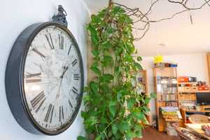 Property thumbnail 17