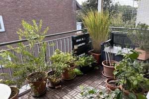 Balkon inklusive, Kreuzviertel, Einmalig,  2 = 1,  eine Etage, zwei Wohnungen zusammen