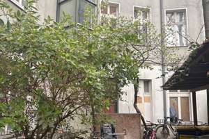 ! Bezugsfrei ! Wunderschönes Dachgeschoss in Kreuzkölln! – Anzengruber str 6, 12043 Neukölln (Ortsteil), Berlin – Vorschaubild 30