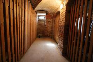 Südlicht. Ruhe. 3 Zimmer. Aufzug. – 4277 Connewitz, Leipzig – Vorschaubild 13