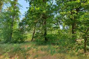 Großer Wohntraum, Kaminhäuschen, eigener Wald - viele Möglichkeiten – Langendorf, Lüchow-Dannenberg (Kreis), 29484 Lüchow-Dannenberg (Kreis) – Vorschaubild 6