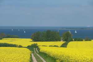 Moderner Ferienbungalow Ostsee nah für Natur- und Wassersportliebhaber – Nordwestmecklenburg (Kreis) – Vorschaubild 37
