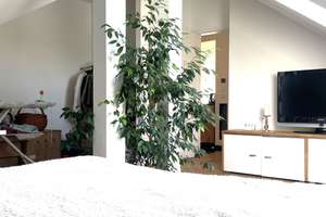 Property thumbnail 25