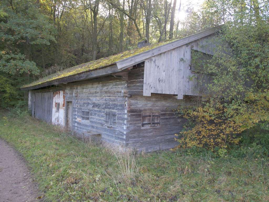 Immobilie in Adlkofen - Grundstück mit Altbestand + Weiher/Wiese + großer Waldanteil - Birnkofen (Adlkofen) - Bild 4