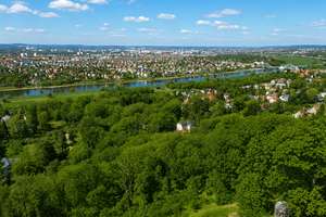 Residieren im letzten Familiensitz der Wettiner in Sachsen! – Die vollständige Adresse der Immobilie erhältst du vom Anbieter., 1326 Loschwitz/Wachwitz, Dresden – Vorschaubild 12