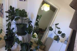 Helle 2 Zimmer Wohnung in Mannheim-Schwetzingerstadt – Die vollständige Adresse der Immobilie erhältst du vom Anbieter., 68165 Schwetzingerstadt/Oststadt, Mannheim – Vorschaubild 4