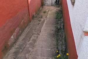 Landhaus für Gartenfreunde und Tierhalter! – Oder-Spree (Kreis) – Vorschaubild 33