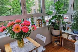 [2 Monaten Zwischenmiete] 2 Zimmer Wohnung in Wilmersdorf – Die vollständige Adresse der Immobilie erhältst du vom Anbieter., 10715 Wilmersdorf, Berlin – Vorschaubild 1