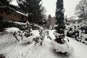 Property thumbnail 26