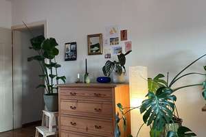 Bergheimer Straße 110 a, 69115 Heidelberg – Bergheimer Straße 110 a, 69115 Bergheim, Heidelberg – Vorschaubild 11