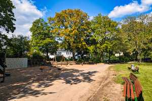 Toller Altbau in bester Rheinlage in Beuel-Süd! 185qm, Dachterrasse, 745qm Areal, 2 Garagen, Keller! – Bonn – Vorschaubild 25