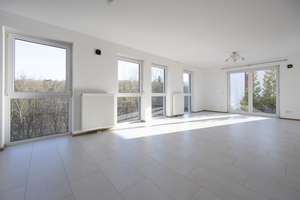 Haus mit Einliegerwohnung in 67705 Stelzenberg – Die vollständige Adresse der Immobilie erhältst du vom Anbieter., 67705 Stelzenberg – Vorschaubild 3