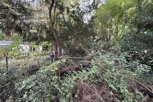 Property thumbnail 19