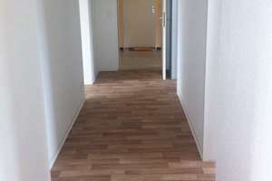 3 Zimmer Wohnung  Wuppertal Cronenberg sucht neue Mieter