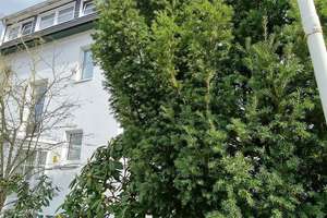 Berlin Kladow  mit zwei Wohneinheiten und eigener Gartenfläche attraktive Kapitalanlage – Die vollständige Adresse der Immobilie erhältst du vom Anbieter., 14089 Kladow, Berlin – Vorschaubild 2
