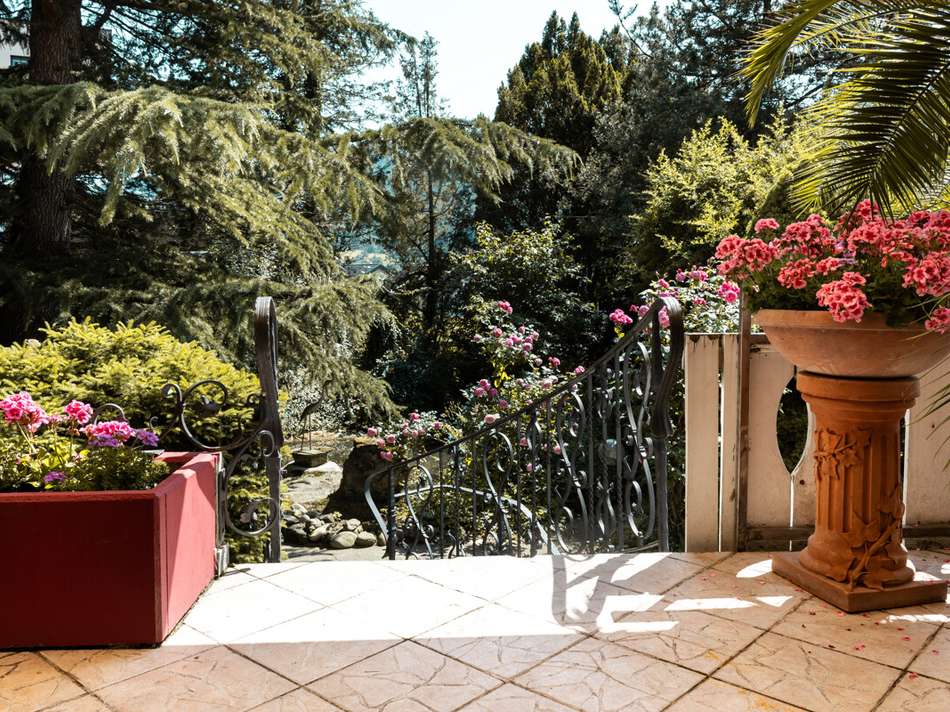 Blick in den Garten