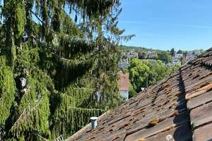 FRISCHE BRISE zum Einziehen: Schöne 2-Zimmer-Dachgeschosswohnung "nur für Einzelperson geeignet" ! – Aarstr. 52a, 65195 Nordost, Wiesbaden – Vorschaubild 15