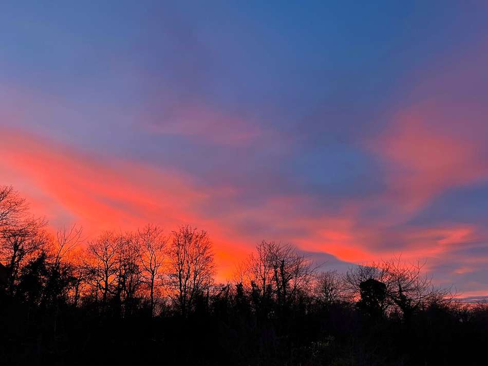 Ausblick vom Obergeschoss