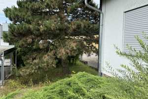 Geräumiges Einfamilienhaus mit großem Gartengrundstück – Hasenheide 6, 55442 Bad Kreuznach (Kreis) – Vorschaubild 11