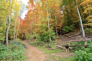 Property thumbnail 15