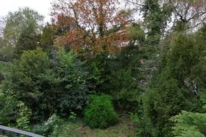 Innenstadt MG: Großzügige Wohnung mit gr. Wohn-/Esszimmer in ruhiger Lage – Parkstraße 25, 41061 Gladbach, Mönchengladbach – Vorschaubild 14