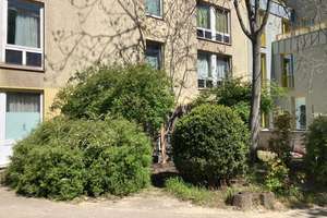 Charmante Altbauwohnung im Herzen Neuköllns – Die vollständige Adresse der Immobilie erhältst du vom Anbieter., 12051 Neukölln (Ortsteil), Berlin – Vorschaubild 25