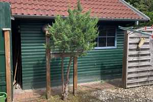 Gepflegtes 3-Zimmer-Einfamilienhaus in Papenburg – Kapitän-Sandmann-Str. 3, 26871 Emsland (Kreis) – Vorschaubild 25