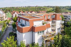 Südterrasse trifft Raumgefühl – großzügiger Wohnbereich und grüner Außenbereich in Stuttgart-Münster