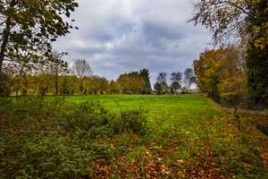 Aurich: Allein liegendes Anwesen in naturnaher Lage mit großem nicht einsehbaren Grundstück – Aurich (Kreis) – Vorschaubild 14