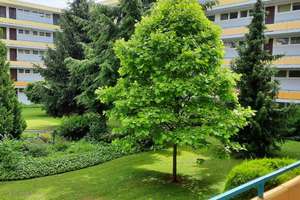 Eigentumswohnung in beliebter Lage in Erlangen – Die vollständige Adresse der Immobilie erhältst du vom Anbieter., 91058 Schönfeld, Erlangen – Vorschaubild 15