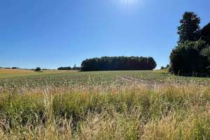 Wie ein Haus im Haus - 4-ZKB im Grünen nahe dem Bielefelder Obersee – Die vollständige Adresse der Immobilie erhältst du vom Anbieter., 33729 Heepen, Bielefeld – Vorschaubild 17