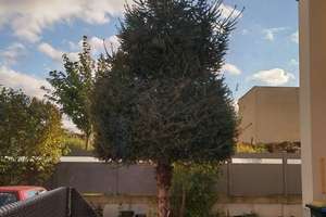 Interessante, ebenerdige neu sanierte 2-Raum-Wohnung mit Terrasse im ruhigen Gartenhaus – Langer Weg 70, 39112 Sudenburg, Magdeburg – Vorschaubild 18