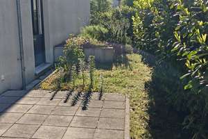Exklusive 2-Zimmerwohnung mit EBK, Garten und Terrasse – Koblenzer Str. 2, 64293 Darmstadt-Nord, Darmstadt – Vorschaubild 3