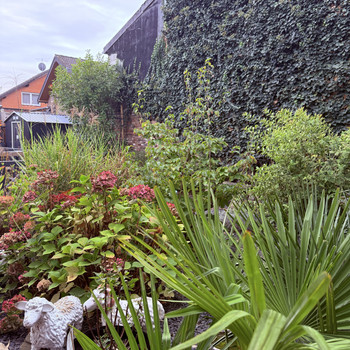 Frühlingserwachen in Gymnich- zwei Häuser, Raum für neue Träume!
