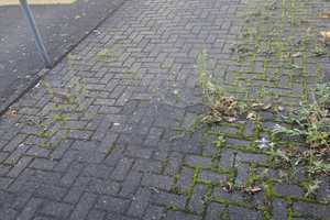Charmante 1-Zimmer Wohnung mit Terrasse in Köln-Weiden – Köln – Vorschaubild 23
