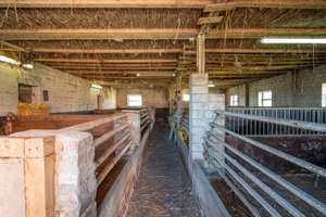 Tradition trifft Potenzial Resthof auf ca. 3.100 m² Grundstück in Grabau – Die vollständige Adresse der Immobilie erhältst du vom Anbieter., 21493 Grabau – Vorschaubild 25