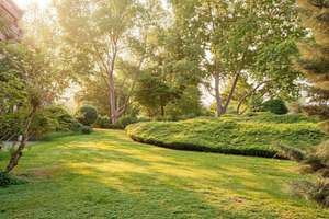 Den goldenen Herbst am Neckar genießen – mit großer Terrasse & Garten – 68167 Neckarstadt-Ost/Wohlgelegen, Mannheim – Vorschaubild 3