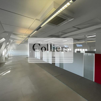 Ausbau nach Mieterwunsch | Pkw-Stellplätze | PROVISIONSFREI